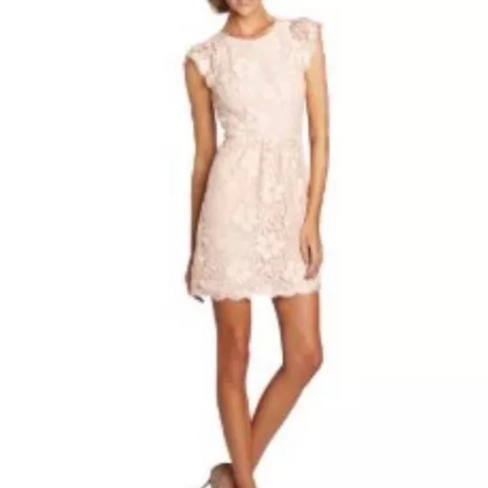 BCBGeneration Blush Dress Size 4